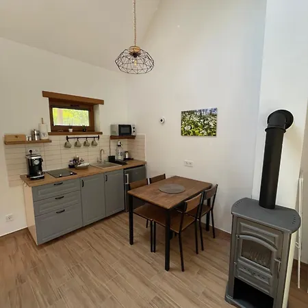 Lesence Vendeghaz Apartment